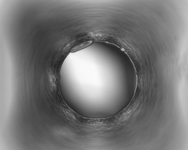 X0000116161010200911301557