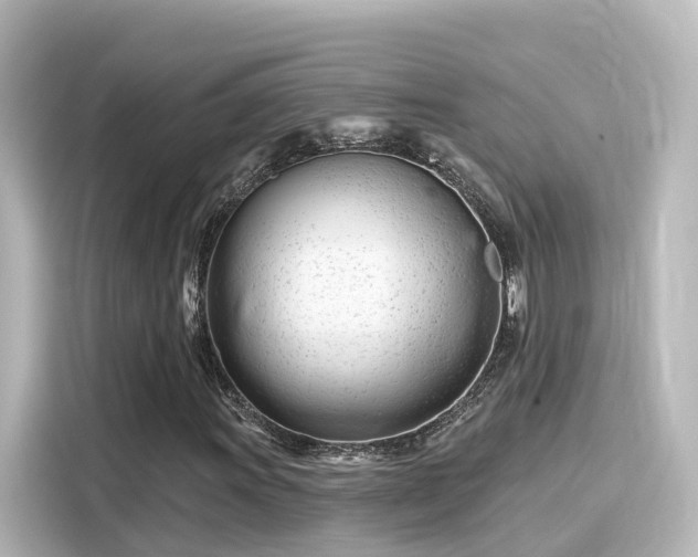 X0000116161011200911301557