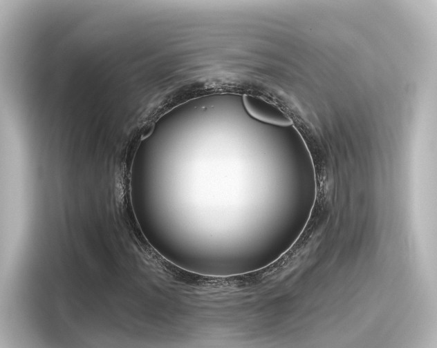 X0000116161012200911301557