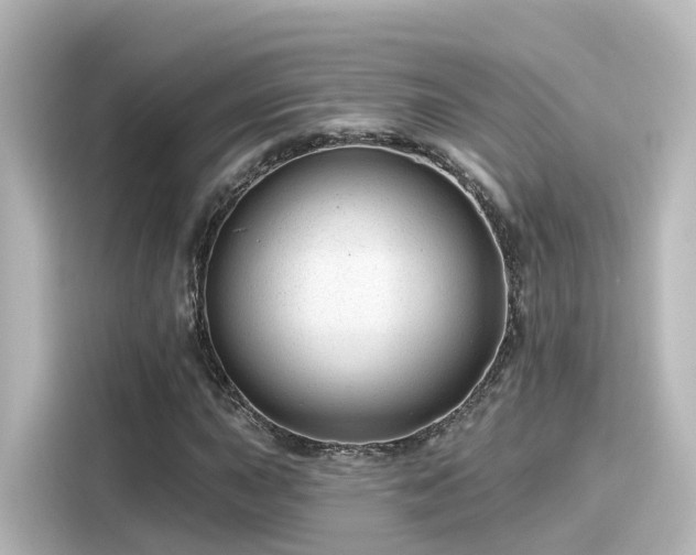 X0000116161015200911301557