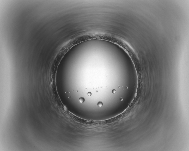 X0000116161016200911301557