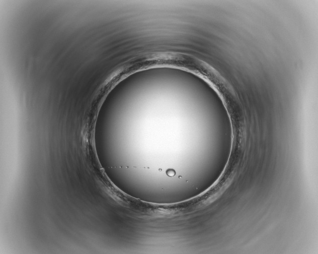 X0000116161017200911301557