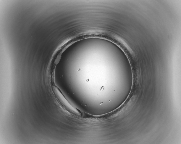 X0000116161018200911301557