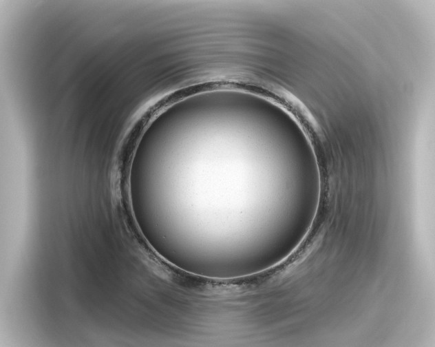 X0000116161019200911301557