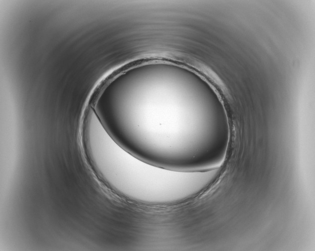 X0000116161020200911301557