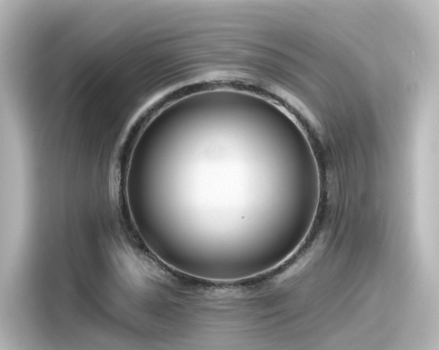 X0000116161021200911301557