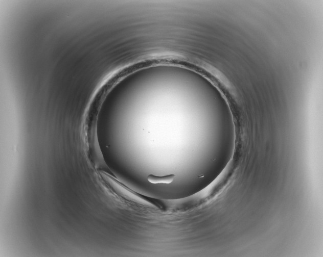 X0000116161022200911301557