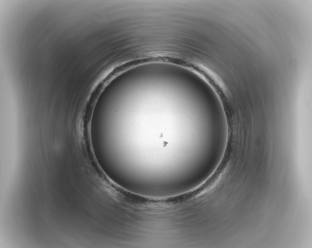 X0000116161023200911301557