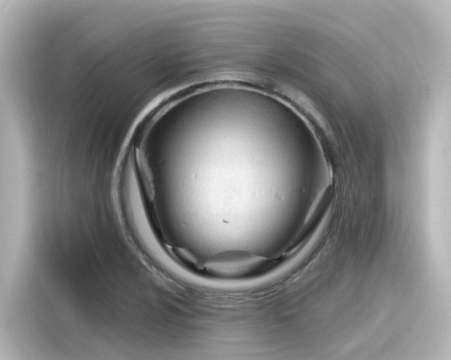 X0000116161024200911301557