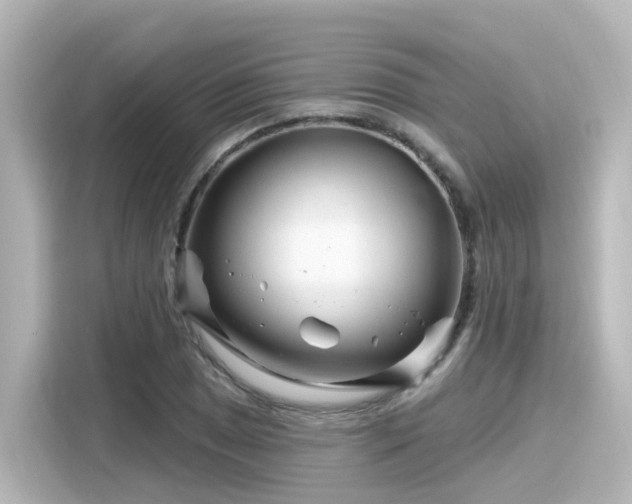 X0000116161025200911301557