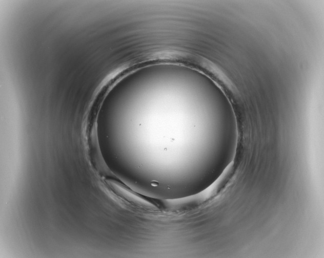 X0000116161026200911301557