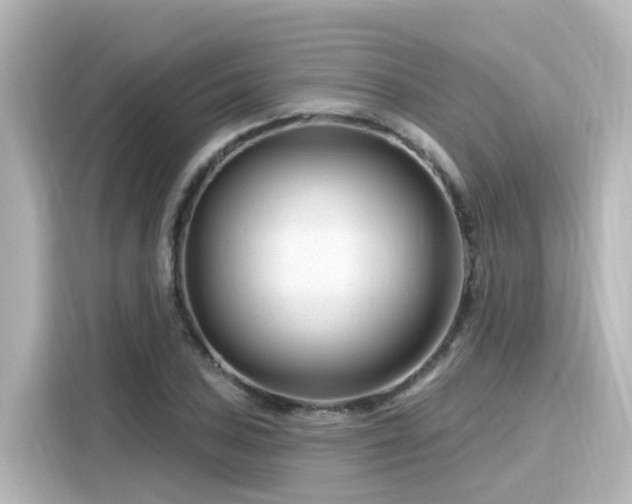 X0000116161027200911301557