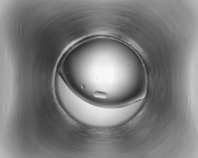 X0000116161028200911301557