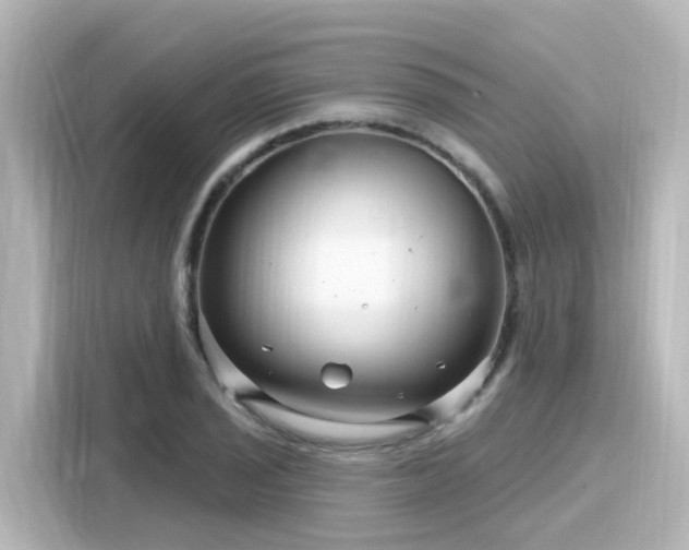 X0000116161029200911301557