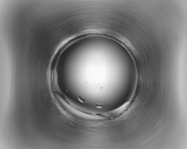 X0000116161030200911301557