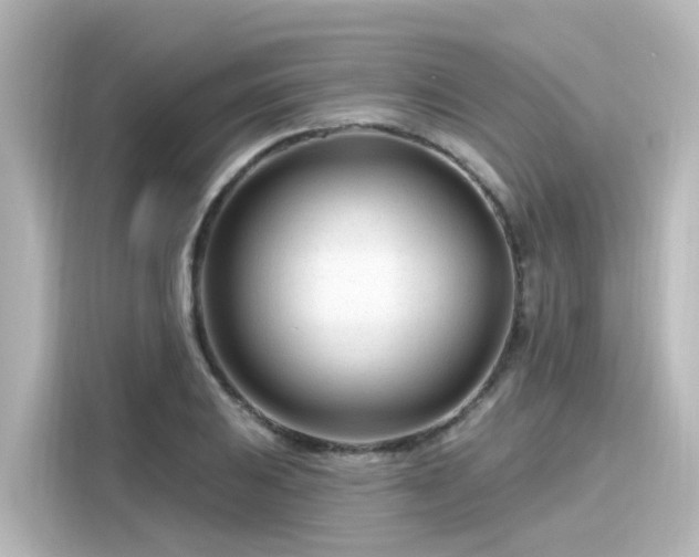 X0000116161031200911301557