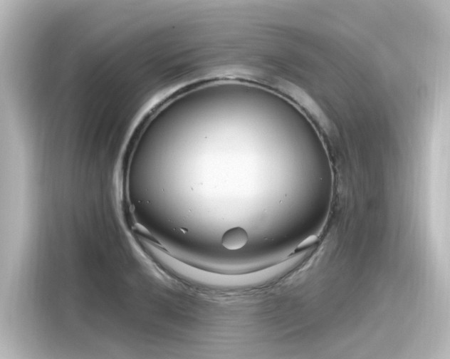 X0000116161032200911301557