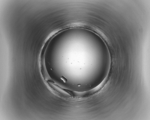 X0000116161034200911301557