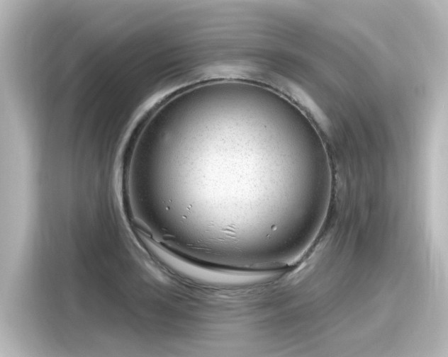 X0000116161035200911301557