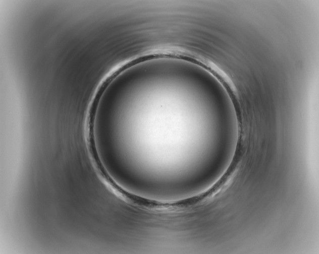 X0000116161037200911301557