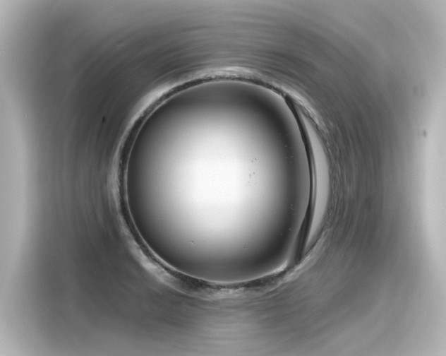 X0000116161038200911301557