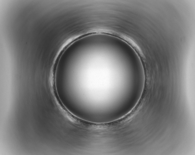 X0000116161040200911301557