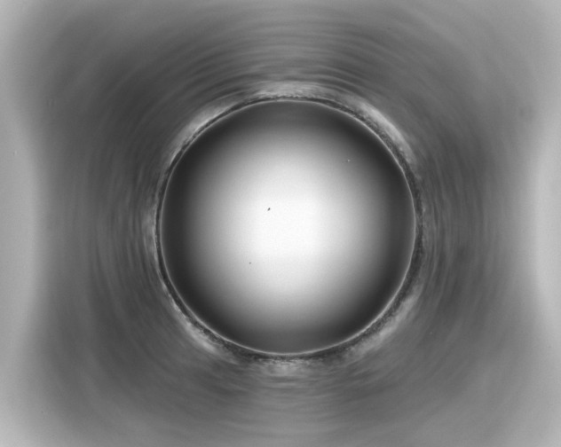 X0000116161041200911301557