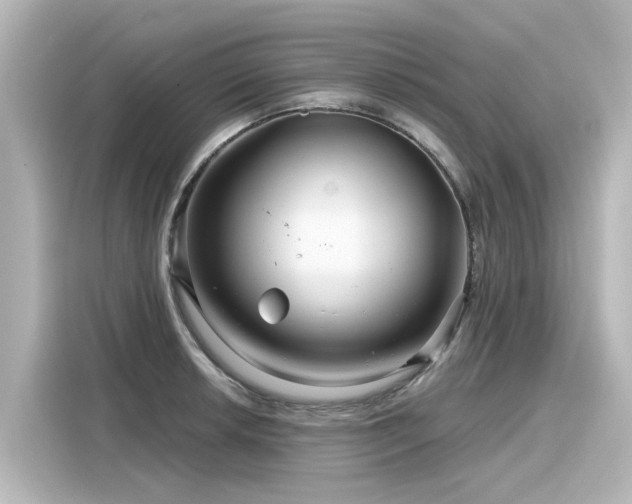 X0000116161042200911301557