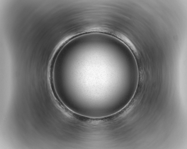 X0000116161043200911301557