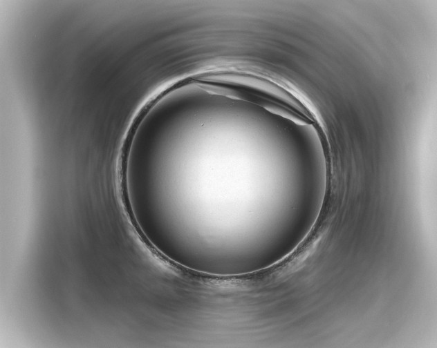 X0000116161045200911301557