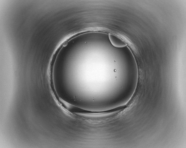 X0000116161046200911301557