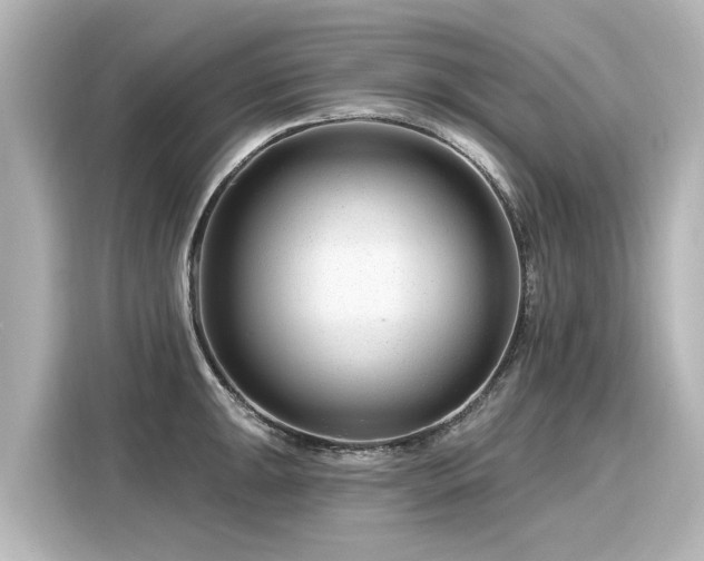 X0000116161047200911301557