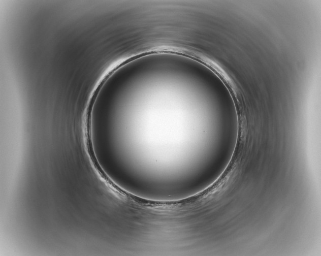 X0000116161048200911301557