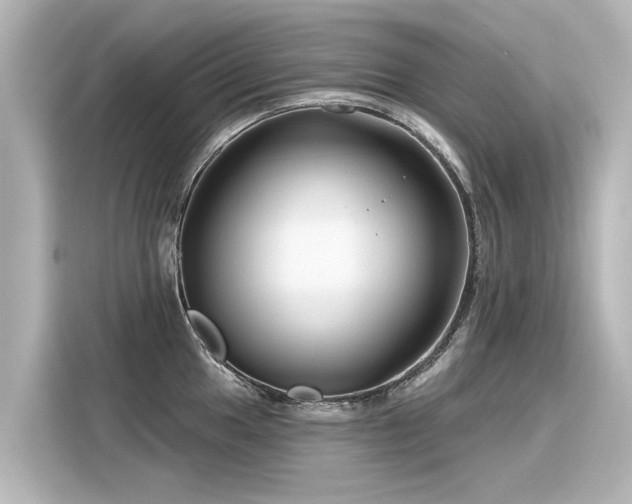 X0000116161049200911301557