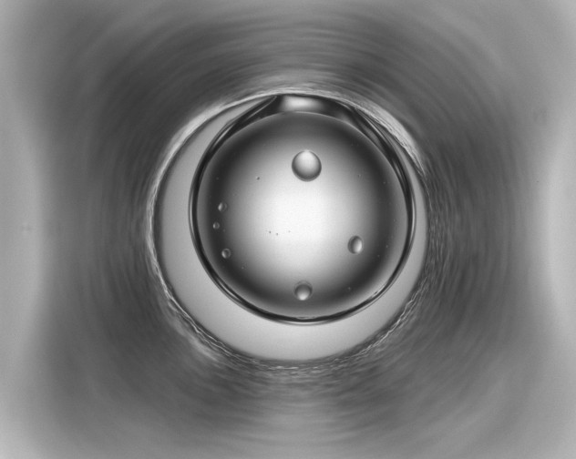 X0000116161051200911301557