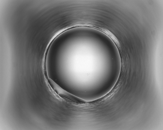 X0000116161052200911301557