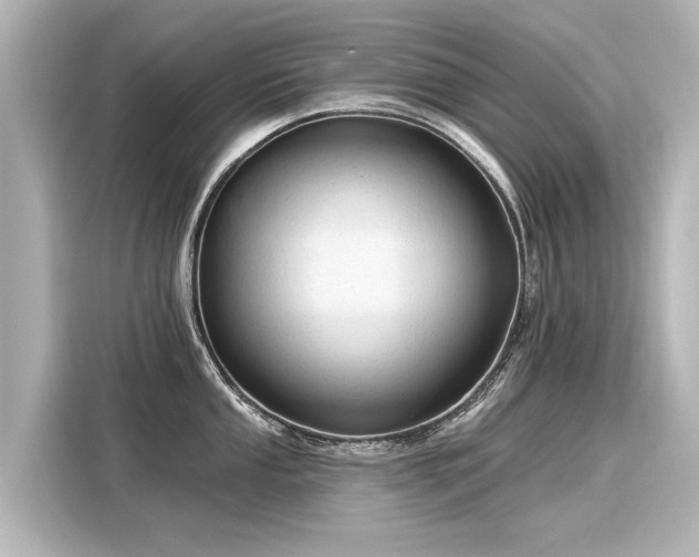 X0000116161053200911301557