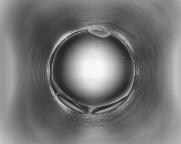 X0000116161054200911301557