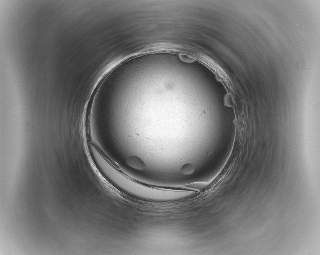 X0000116161055200911301557