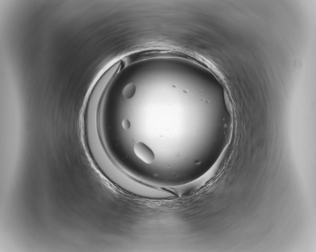 X0000116161056200911301557