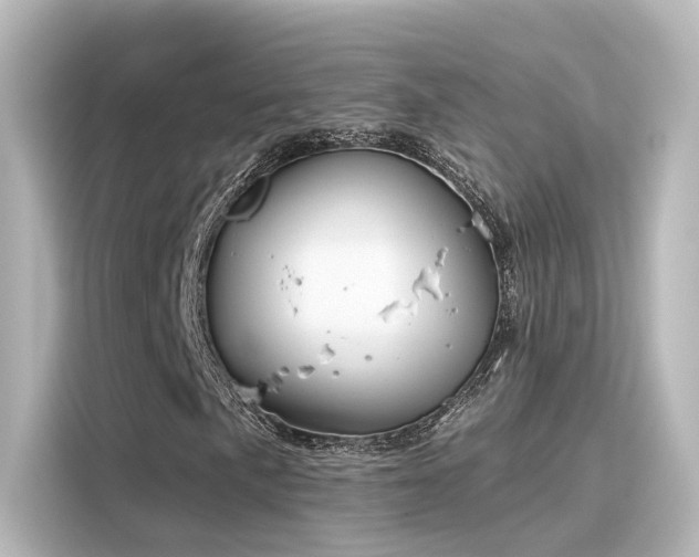 X0000116161057200911301556