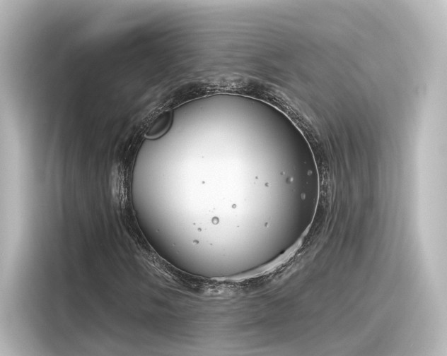 X0000116161058200911301556