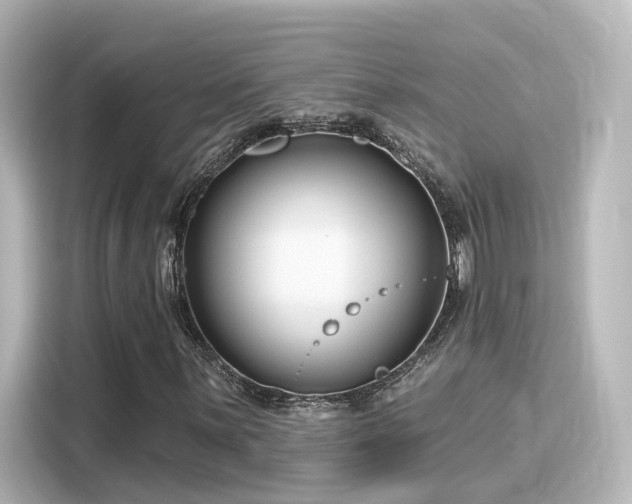 X0000116161059200911301556