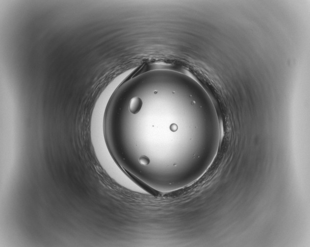 X0000116161060200911301556