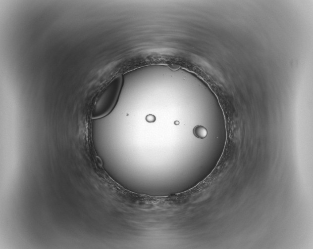 X0000116161061200911301556