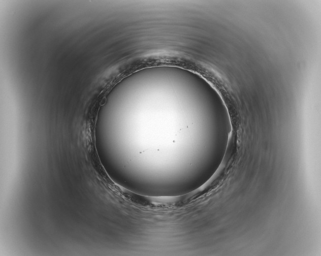 X0000116161062200911301556