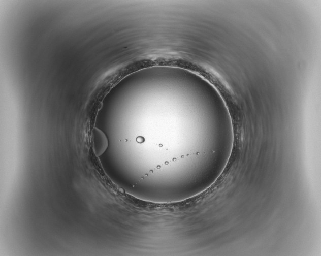 X0000116161063200911301556