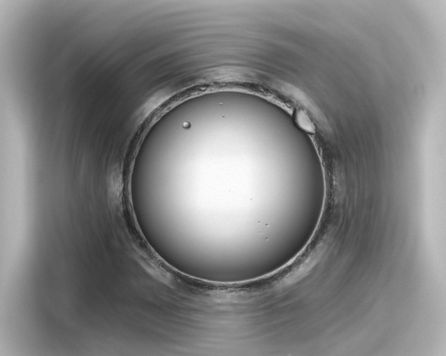 X0000116161065200911301556