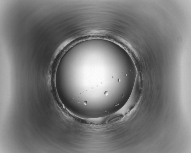 X0000116161066200911301556