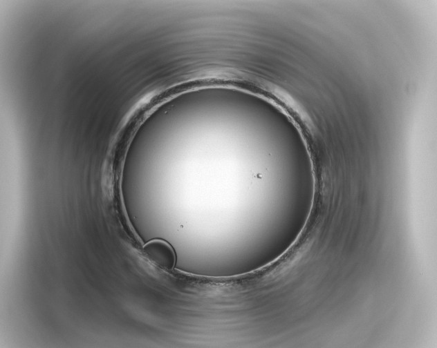 X0000116161067200911301556